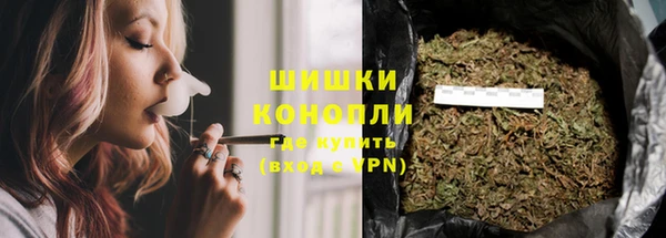 эйфоретик Бородино