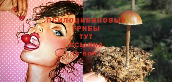 PSILOCYBIN Верхний Тагил